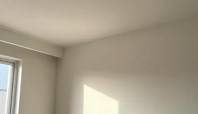 远程支持服务选型中的安装调试等环节解析